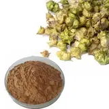 Herbal extract powder with natural plant material – advanced botanical formula in Manjuba Caps